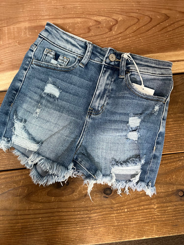 Paige Distressed Shorts