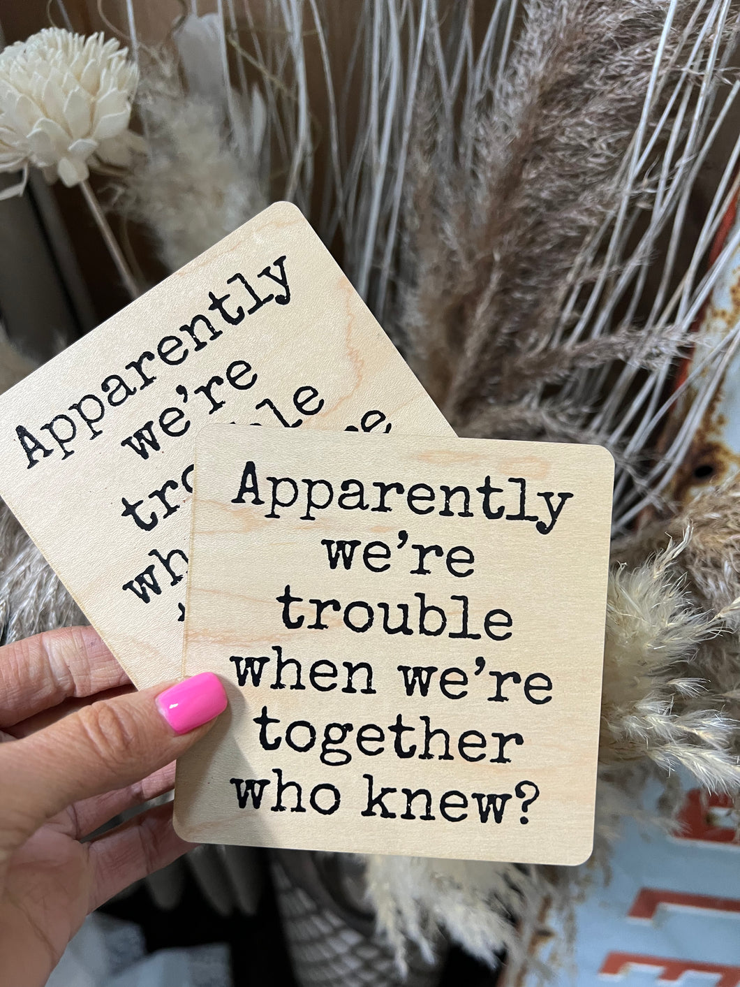 Apparently We're Trouble Together Coaster